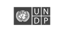 UNDP